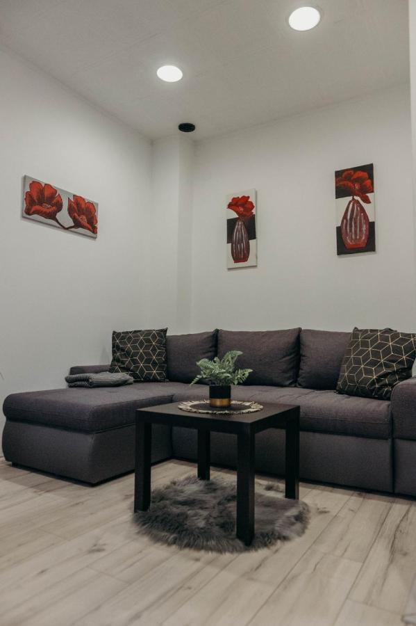 Holy Appartement Ðakovo Buitenkant foto